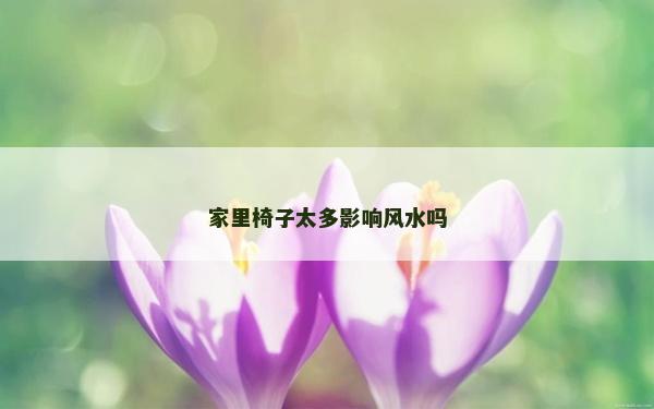 家里椅子太多影響風水嗎 家里椅子太多影響風水嗎
