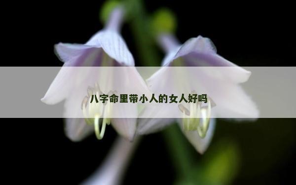 八字命里帶小人的女人好嗎