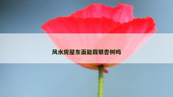 風水房屋東面能栽銀杏樹嗎
