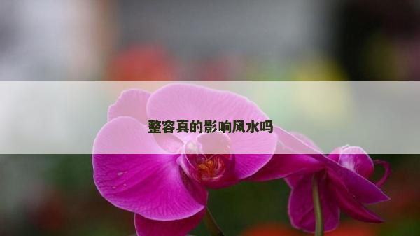 整容真的影響風(fēng)水嗎