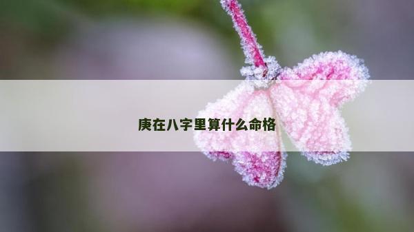 庚在八字里算什么命格