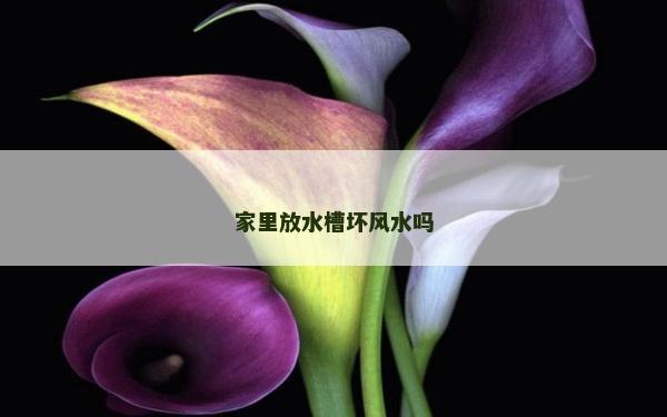 家里放水槽壞風水嗎