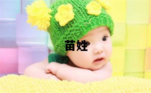 苗姓取名有涵養的男寶寶名字