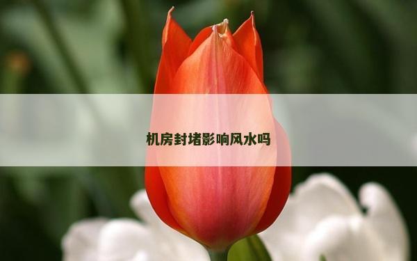 機房封堵影響風水嗎