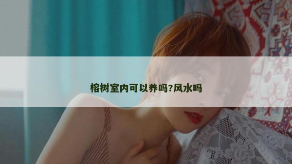 榕樹室內可以養嗎?風水嗎