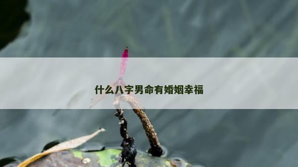 什么八字男命有婚姻幸福 什么八字男命有婚姻幸福