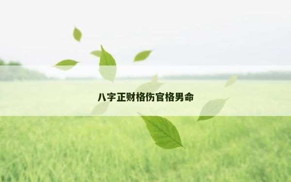 八字正財格傷官格男命
