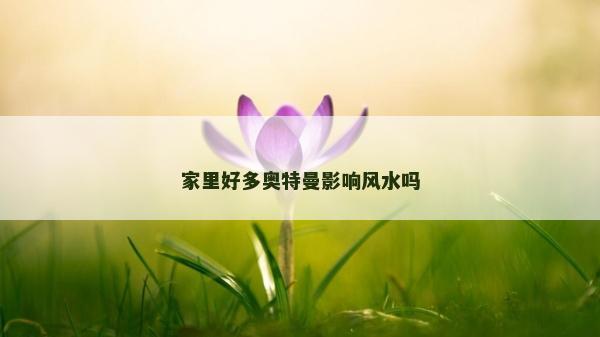 家里好多奧特曼影響風水嗎