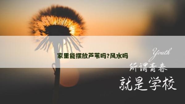 家里能擺放蘆葦嗎?風水嗎 家里能擺放蘆葦嗎?風水嗎