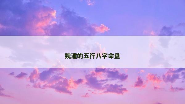 魏潼的五行八字命盤