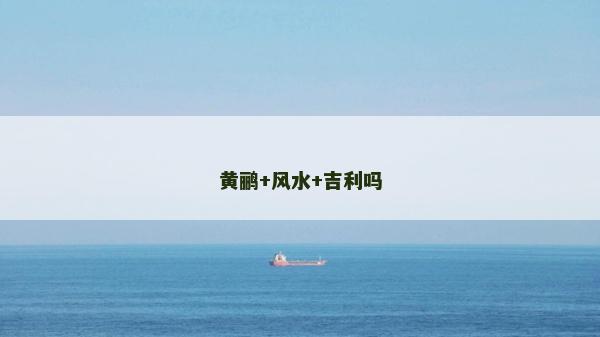 黃鸝+風水+吉利嗎
