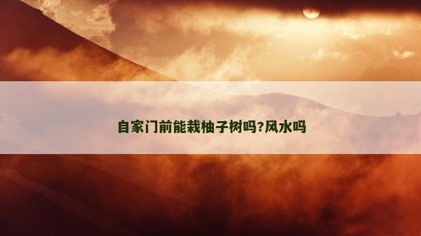 自家門前能栽柚子樹嗎?風水嗎