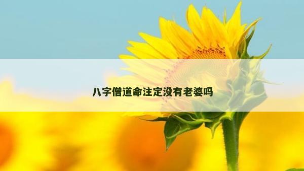 八字僧道命注定沒有老婆嗎