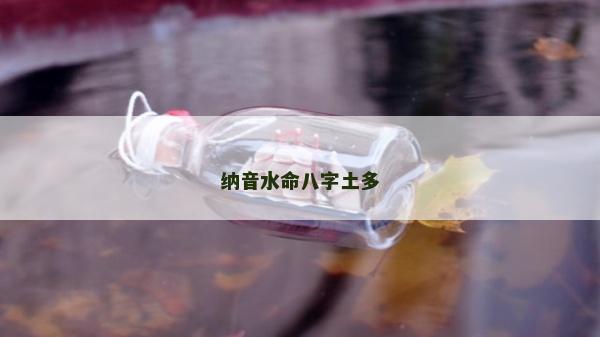 納音水命八字土多