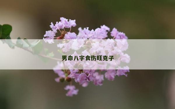 男命八字食傷旺克子