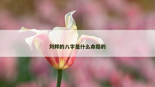 劉邦的八字是什么命局的
