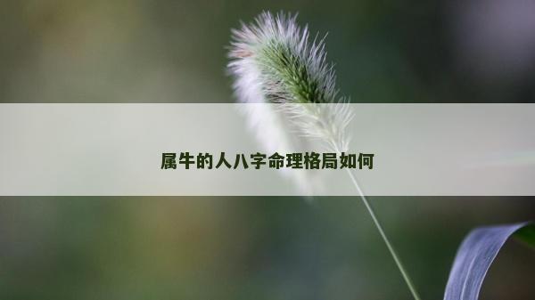 屬牛的人八字命理格局如何