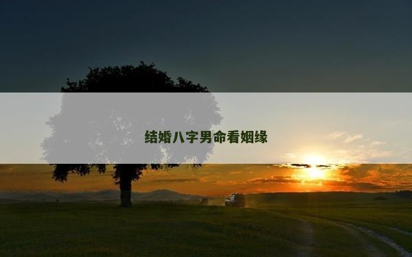 結婚八字男命看姻緣