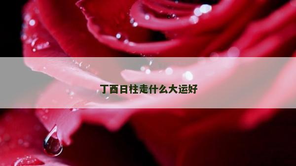 丁酉日柱走什么大運好 丁酉日柱走什么大運好