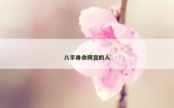 八字身命同宮的人