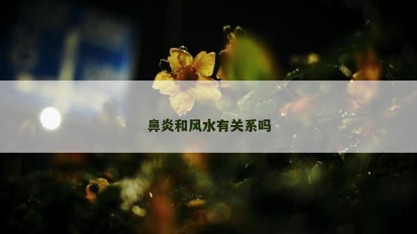 鼻炎和風(fēng)水有關(guān)系嗎