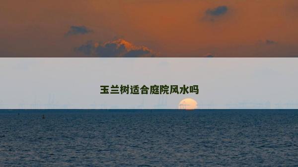玉蘭樹適合庭院風水嗎