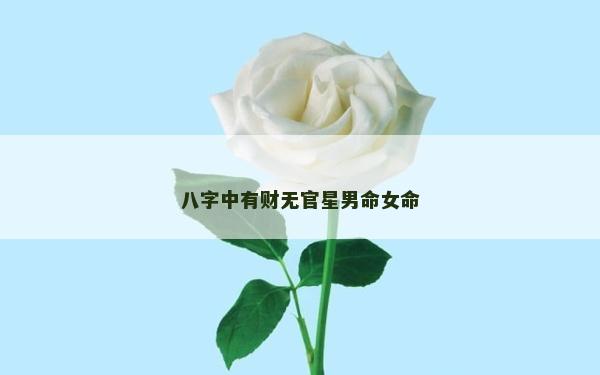 八字中有財(cái)無(wú)官星男命女命