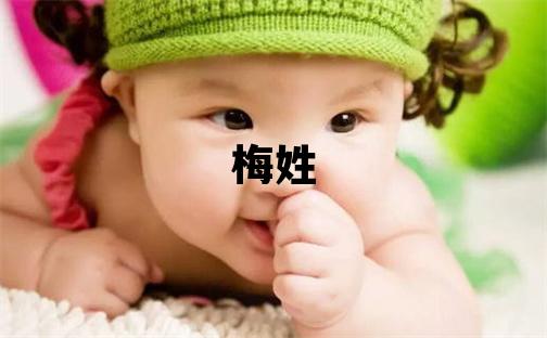 梅姓有新意的男孩名字