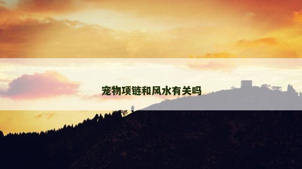 寵物項鏈和風水有關嗎