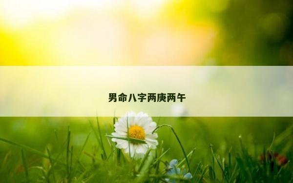 男命八字兩庚兩午