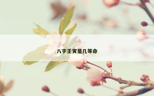 八字壬寅是幾等命