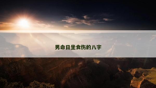 男命日坐食傷的八字