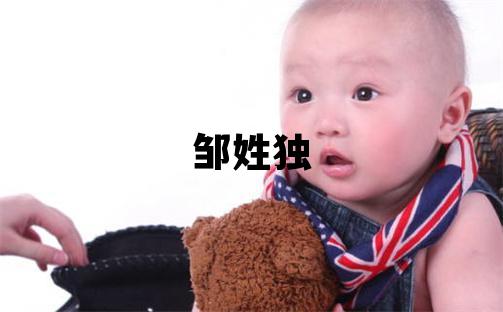 鄒姓獨(dú)特優(yōu)美的男寶寶名字