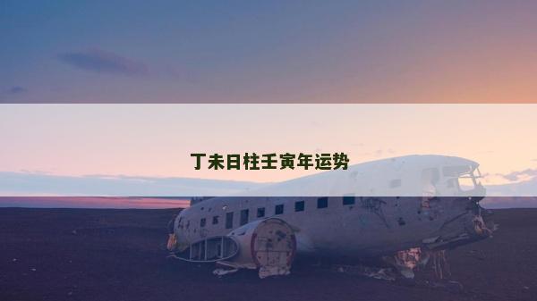 丁未日柱壬寅年運(yùn)勢(shì)