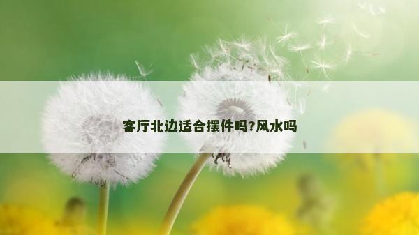 客廳北邊適合擺件嗎?風水嗎