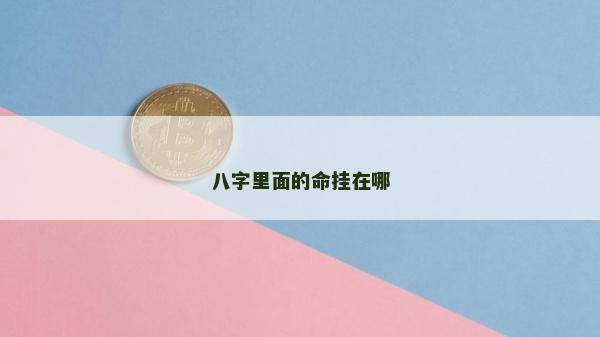 八字里面的命掛在哪