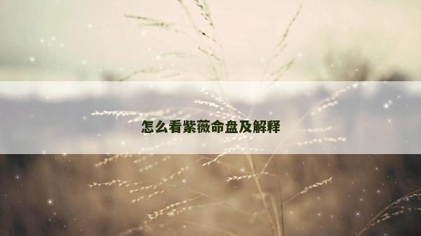 怎么看紫薇命盤及解釋