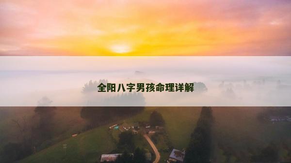 全陽八字男孩命理詳解