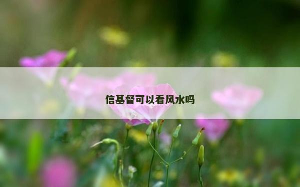 信基督可以看風(fēng)水嗎
