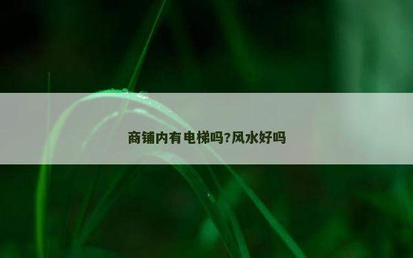 商鋪內有電梯嗎?風水好嗎