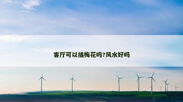 客廳可以插梅花嗎?風(fēng)水好嗎
