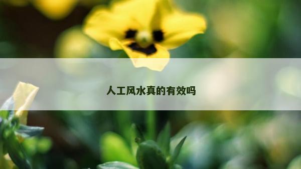 人工風水真的有效嗎
