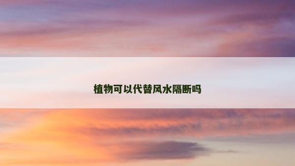 植物可以代替風(fēng)水隔斷嗎