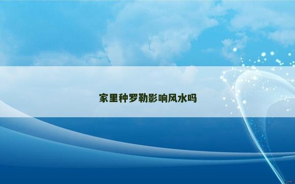 家里種羅勒影響風水嗎