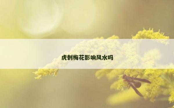 虎刺梅花影響風水嗎
