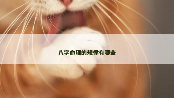 八字命理的規律有哪些