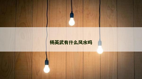 楊英武有什么風水嗎