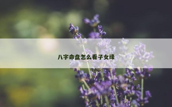 八字命盤怎么看子女緣