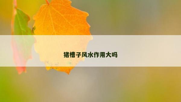 豬槽子風(fēng)水作用大嗎