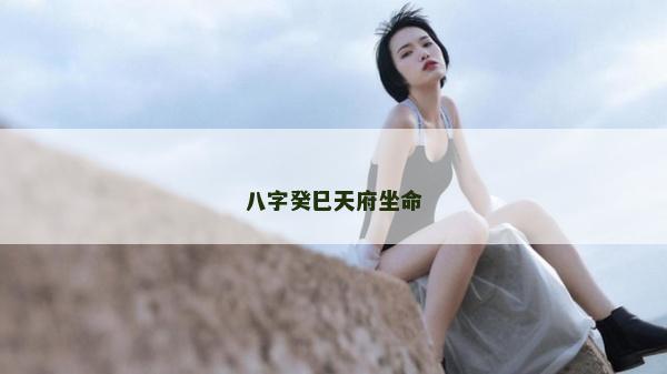 八字癸巳天府坐命 八字癸巳天府坐命
